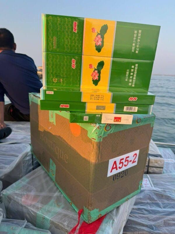 荷花系列