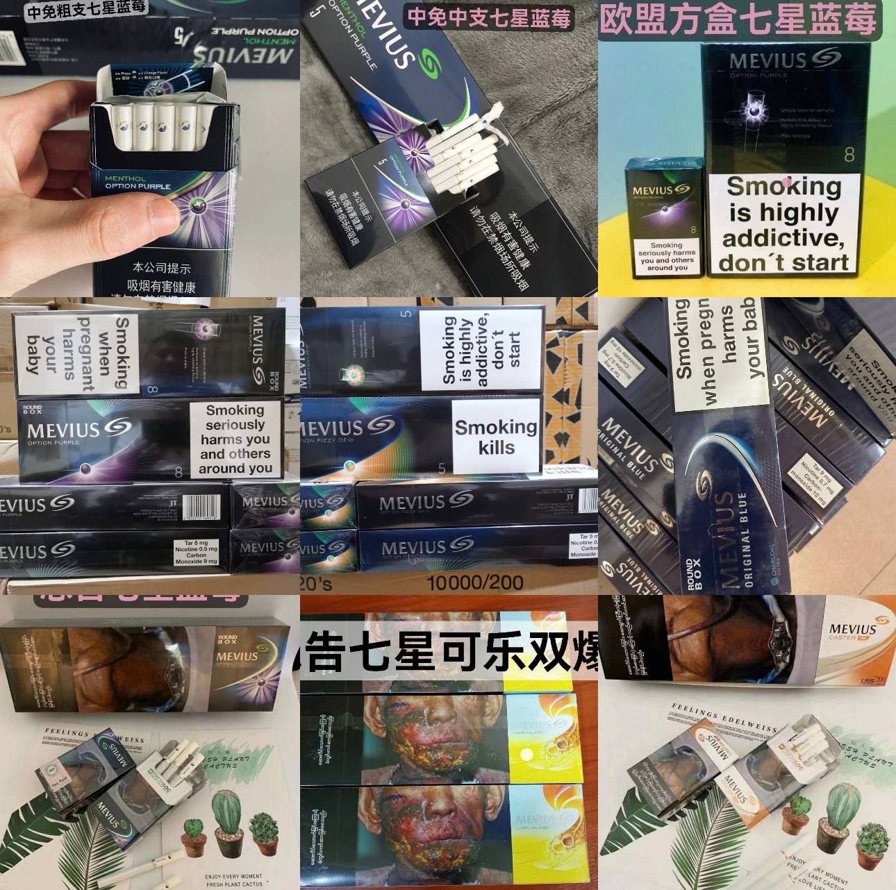 七星系列 - 图片 2